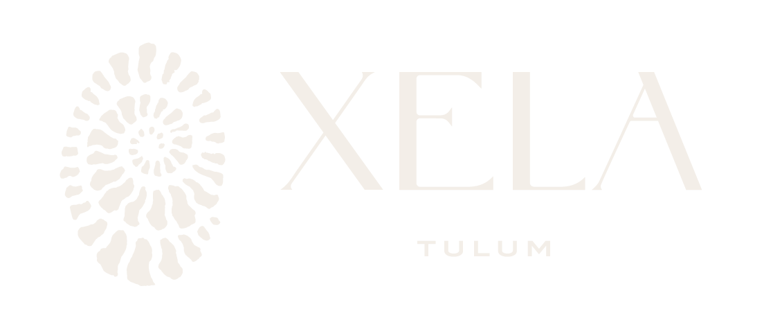 Logo Xela